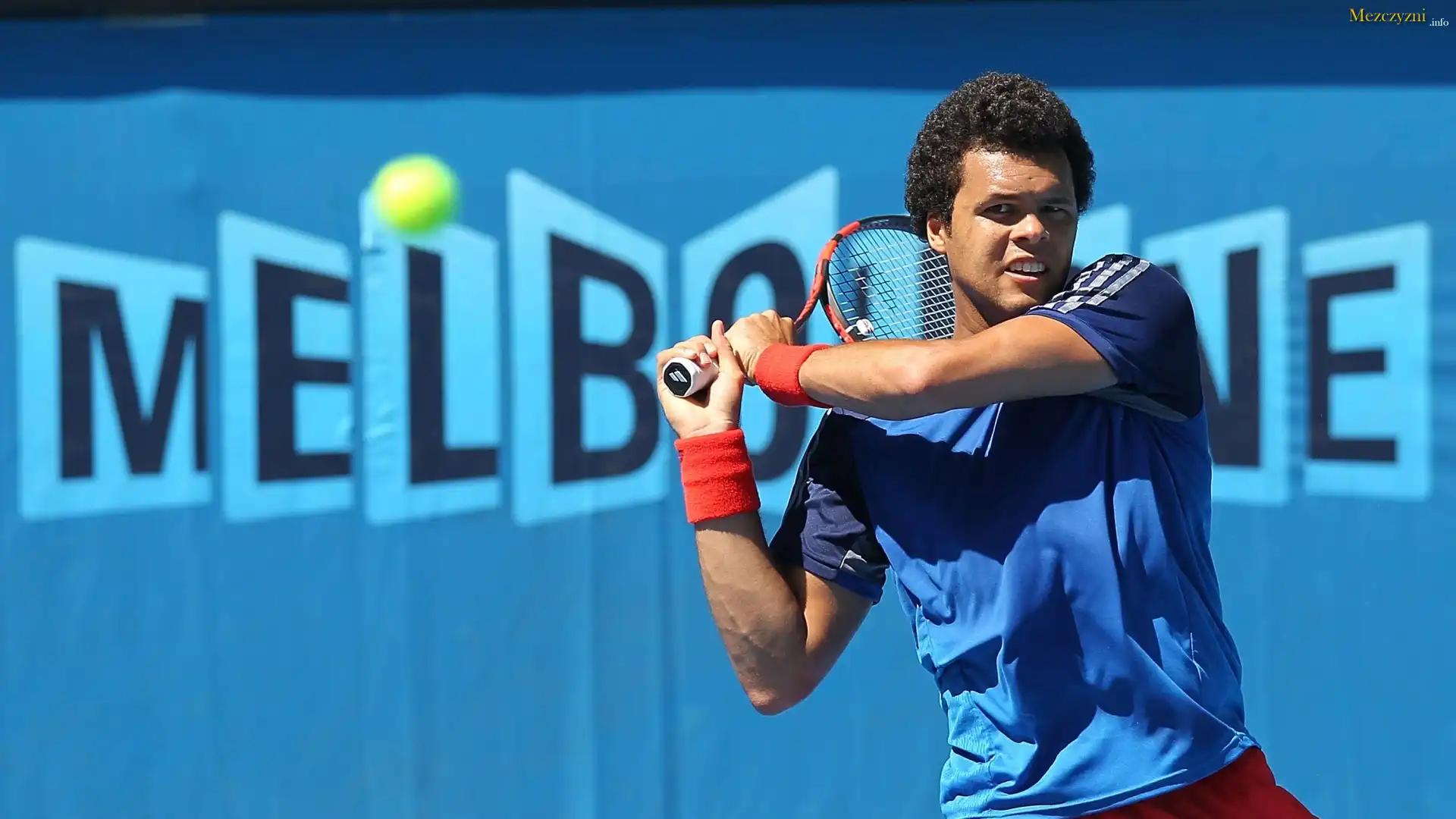 Tenisista, Jo Wilfried Tsonga, Francuz